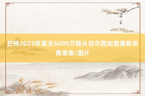芒特2023年夏天6000万镑从切尔西加盟曼联体育录像/图片