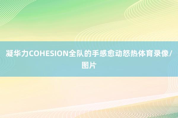 凝华力COHESION全队的手感愈动怒热体育录像/图片
