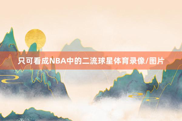 只可看成NBA中的二流球星体育录像/图片