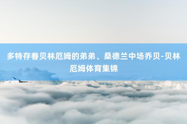 多特存眷贝林厄姆的弟弟、桑德兰中场乔贝-贝林厄姆体育集锦
