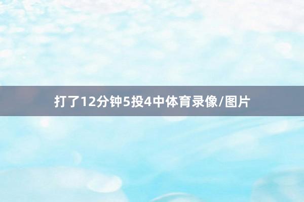 打了12分钟5投4中体育录像/图片