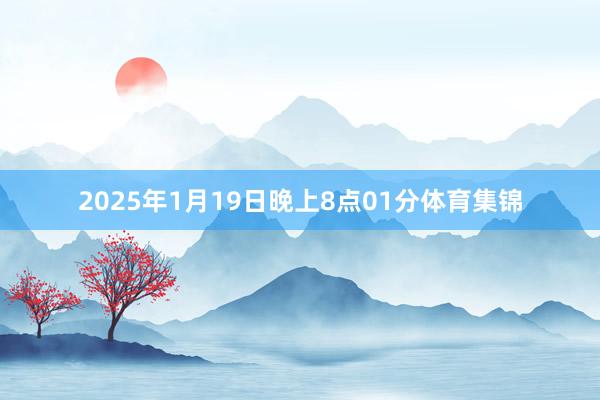 2025年1月19日晚上8点01分体育集锦