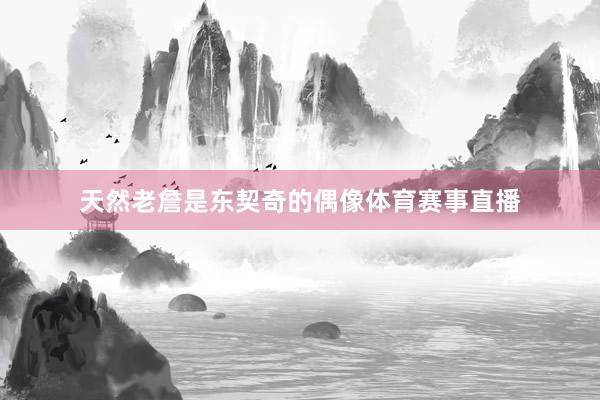 天然老詹是东契奇的偶像体育赛事直播