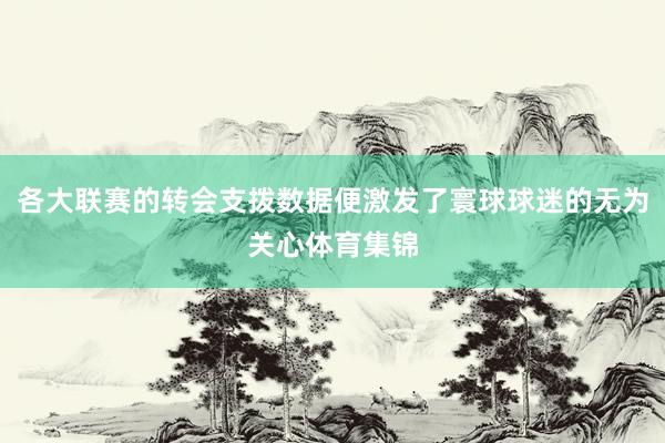 各大联赛的转会支拨数据便激发了寰球球迷的无为关心体育集锦
