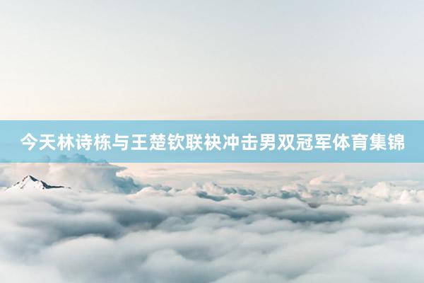 今天林诗栋与王楚钦联袂冲击男双冠军体育集锦