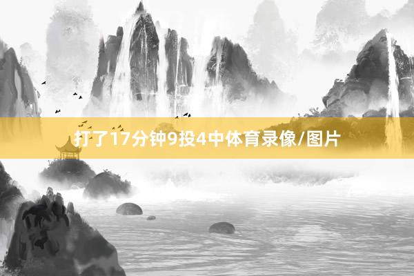 打了17分钟9投4中体育录像/图片