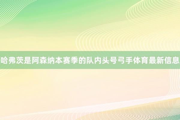 哈弗茨是阿森纳本赛季的队内头号弓手体育最新信息