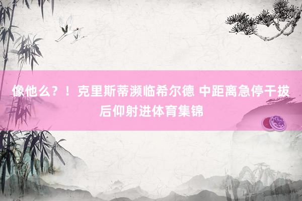 像他么？！克里斯蒂濒临希尔德 中距离急停干拔后仰射进体育集锦