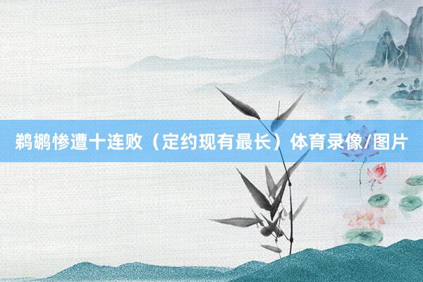 鹈鹕惨遭十连败（定约现有最长）体育录像/图片