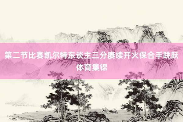 第二节比赛凯尔特东谈主三分赓续开火保合手跳跃体育集锦