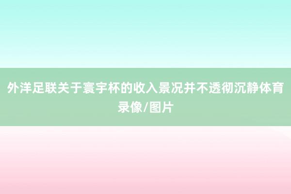 外洋足联关于寰宇杯的收入景况并不透彻沉静体育录像/图片