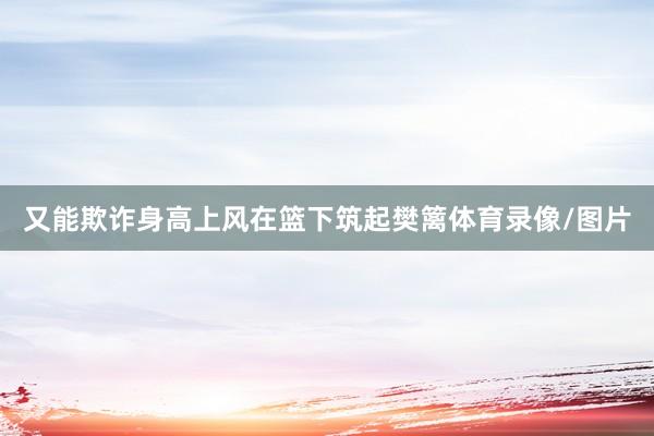 又能欺诈身高上风在篮下筑起樊篱体育录像/图片