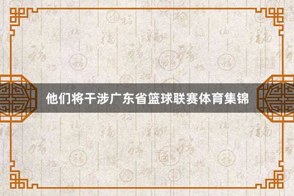 他们将干涉广东省篮球联赛体育集锦
