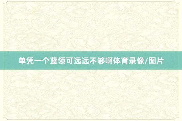 单凭一个蓝领可远远不够啊体育录像/图片