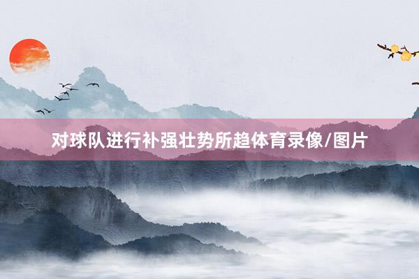 对球队进行补强壮势所趋体育录像/图片