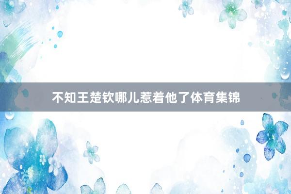 不知王楚钦哪儿惹着他了体育集锦