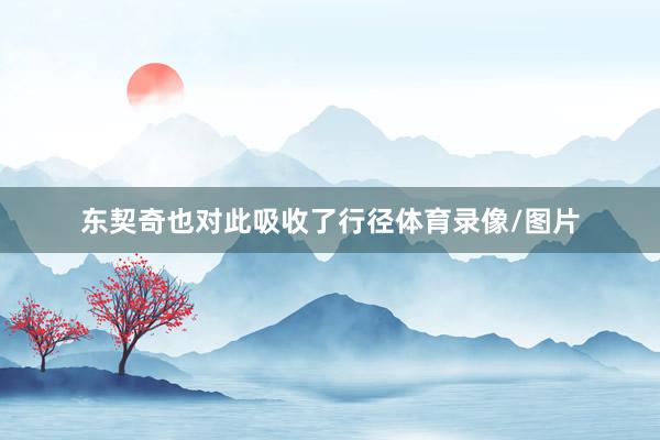 东契奇也对此吸收了行径体育录像/图片