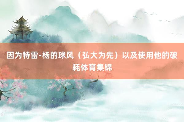 因为特雷-杨的球风(弘大为先)以及使用他的破耗体育集锦