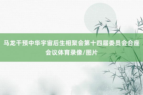 马龙干预中华宇宙后生相聚会第十四届委员会合座会议体育录像/图片