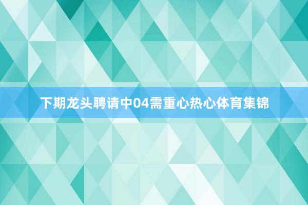 下期龙头聘请中04需重心热心体育集锦