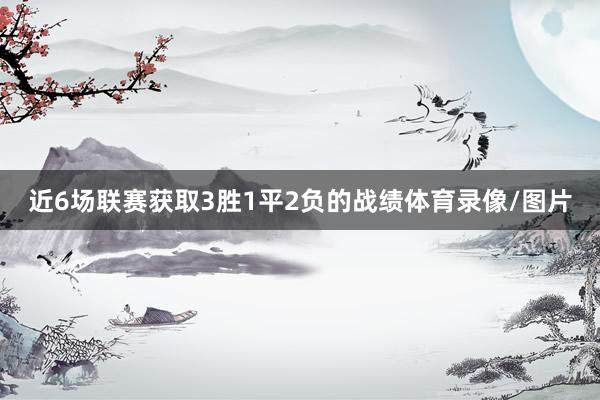 近6场联赛获取3胜1平2负的战绩体育录像/图片