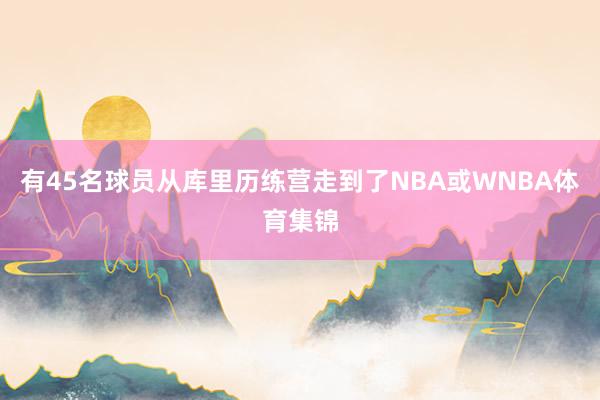 有45名球员从库里历练营走到了NBA或WNBA体育集锦
