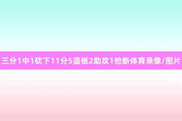 三分1中1砍下11分5篮板2助攻1抢断体育录像/图片