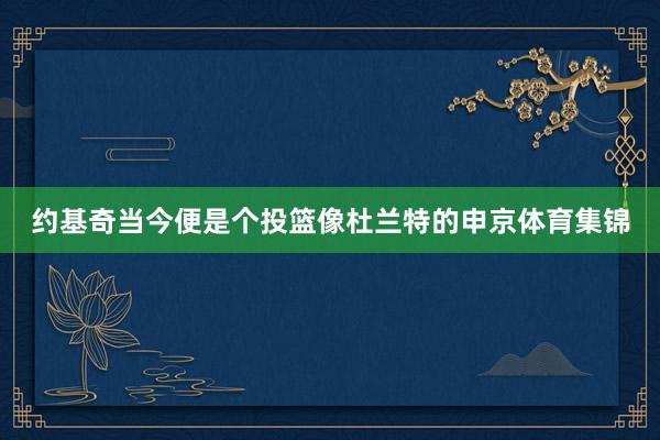约基奇当今便是个投篮像杜兰特的申京体育集锦