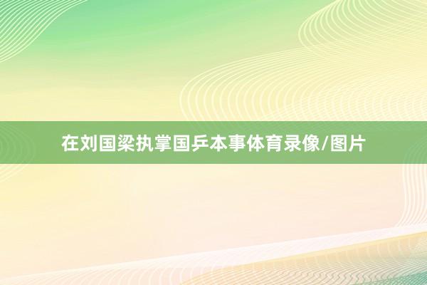 在刘国梁执掌国乒本事体育录像/图片