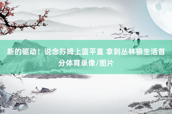 新的驱动！说念苏姆上篮平直 拿到丛林狼生活首分体育录像/图片