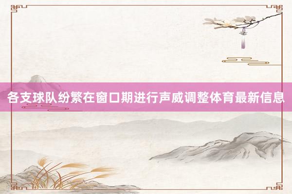 各支球队纷繁在窗口期进行声威调整体育最新信息