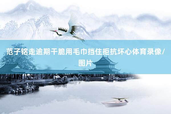 范子铭走逾期干脆用毛巾挡住拒抗坏心体育录像/图片