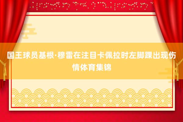 国王球员基根·穆雷在注目卡佩拉时左脚踝出现伤情体育集锦
