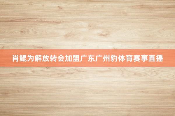 肖鲲为解放转会加盟广东广州豹体育赛事直播