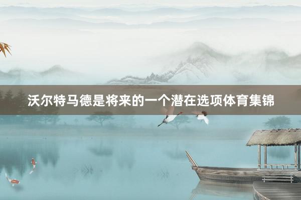 沃尔特马德是将来的一个潜在选项体育集锦