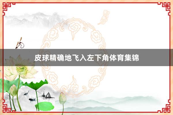 皮球精确地飞入左下角体育集锦