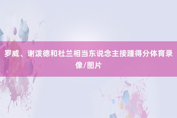 罗威、谢泼德和杜兰相当东说念主接踵得分体育录像/图片