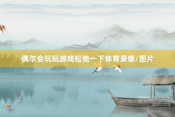 偶尔会玩玩游戏松弛一下体育录像/图片