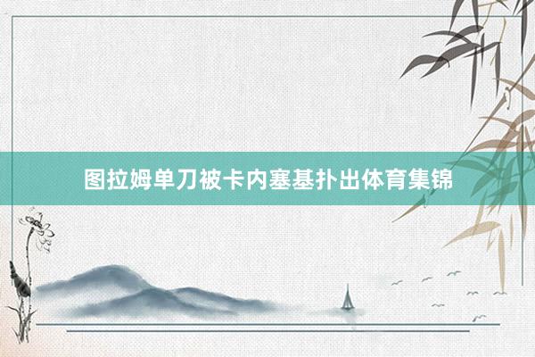 图拉姆单刀被卡内塞基扑出体育集锦