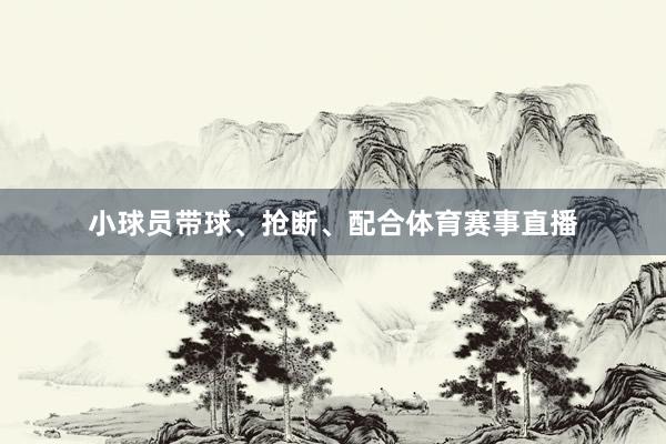 小球员带球、抢断、配合体育赛事直播