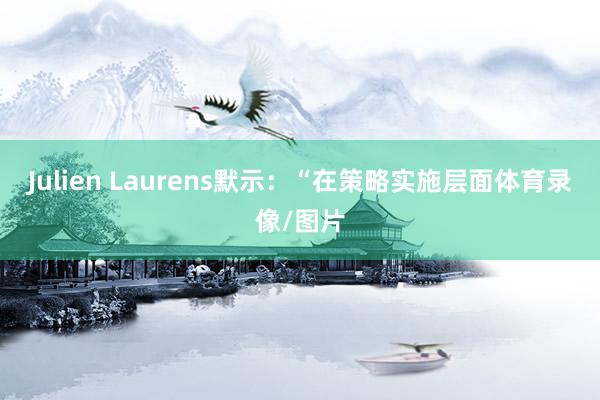 Julien Laurens默示：“在策略实施层面体育录像/图片