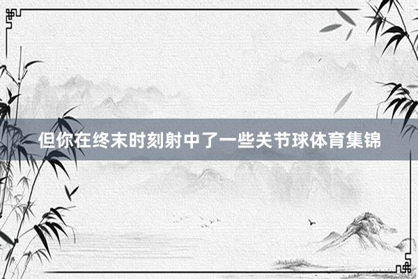但你在终末时刻射中了一些关节球体育集锦