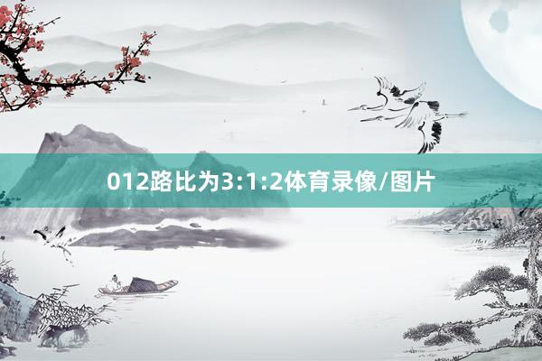 012路比为3:1:2体育录像/图片