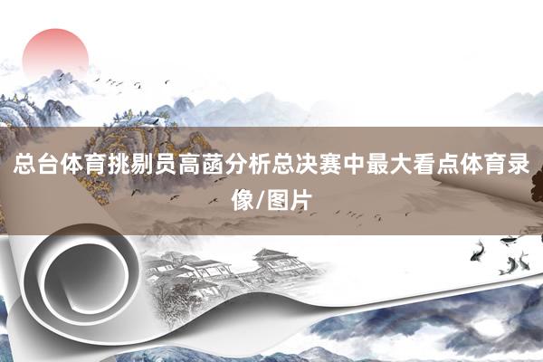 总台体育挑剔员高菡分析总决赛中最大看点体育录像/图片