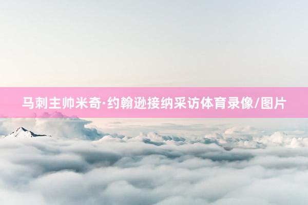 马刺主帅米奇·约翰逊接纳采访体育录像/图片