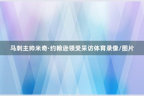 马刺主帅米奇·约翰逊领受采访体育录像/图片