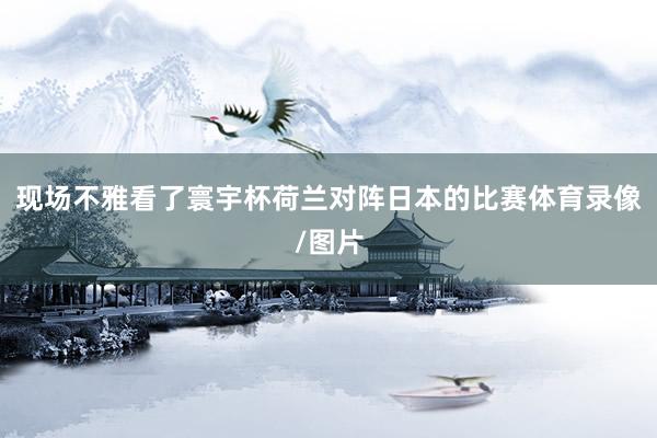 现场不雅看了寰宇杯荷兰对阵日本的比赛体育录像/图片