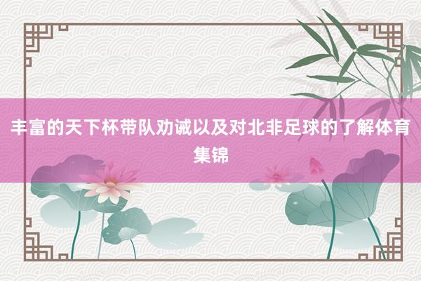丰富的天下杯带队劝诫以及对北非足球的了解体育集锦